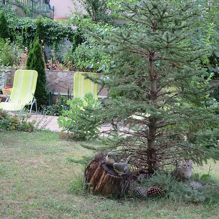 Astara Апартамент